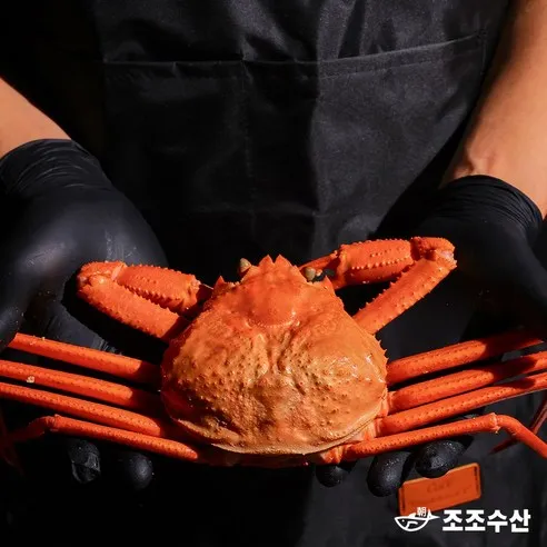 [조조수산]울진 후포리 박달홍게 찜 산지직송 자숙홍게 3kg, 박달홍게 3kg (..., 1개