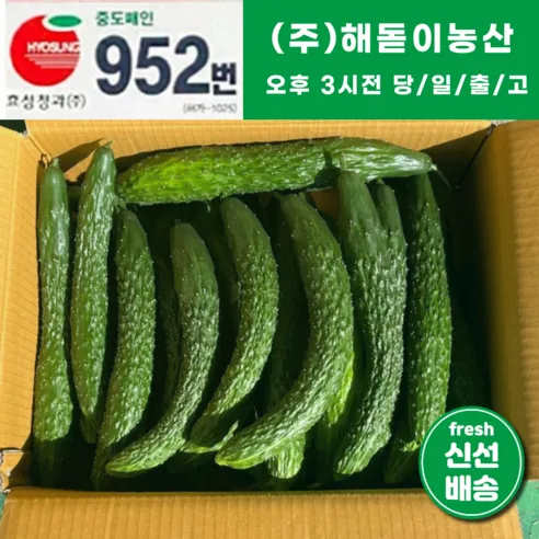 <해돋이농산> 국내산 오이 가시오이 청오이 못난이오이 3kg 5kg 10kg 내외, 3kg내외, 1개”/></a></div>
<h2 class=