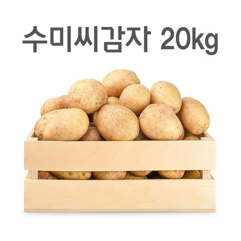 영진팜 강원도 대관령 왕산면 정품 씨감자 4kg 10kg 20kg 보급종 수미 두백 필대성