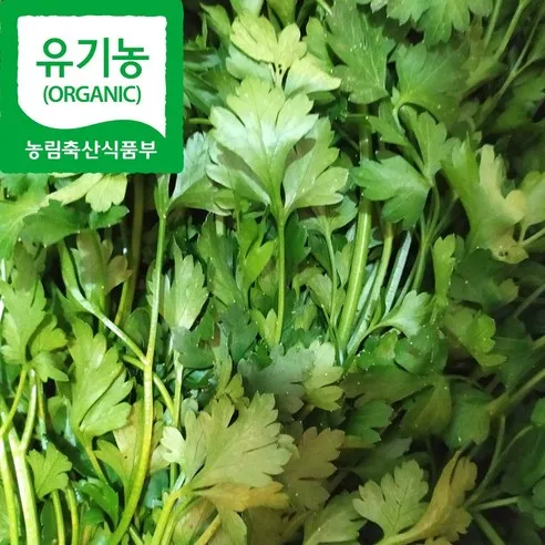 산지직송 유기농 밭 미나리 세척 미나리, 1kg, 1개